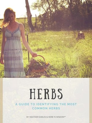 cover image of A Guide to Identifying the Most Common Herbs